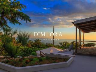 Vista