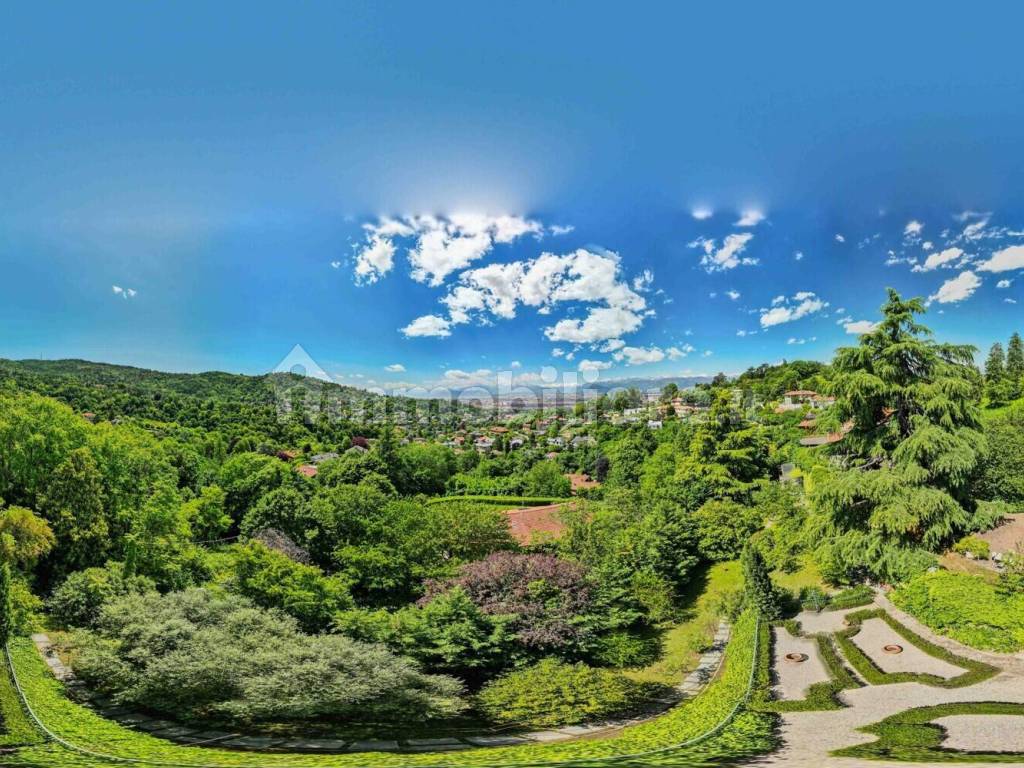 Vista