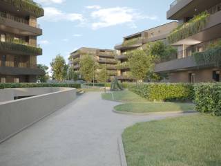 Zona