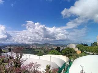 Vista