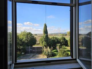 Vista