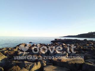 Zona
