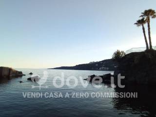 Zona
