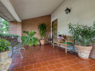 Terrazzo