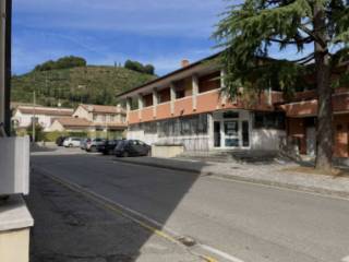 Zona