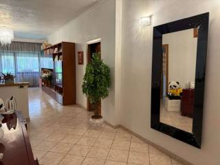 Ingresso