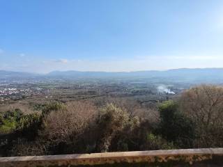 Vista