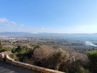 Vista