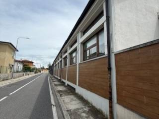 Zona