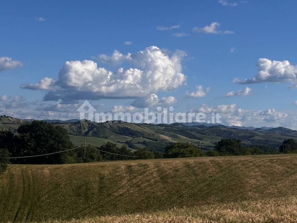 Vista