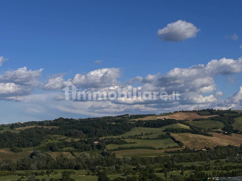 Vista