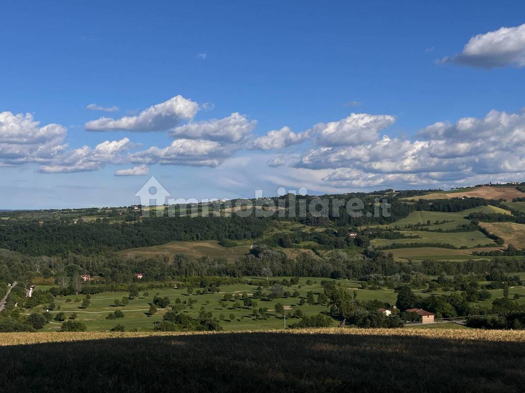 Vista