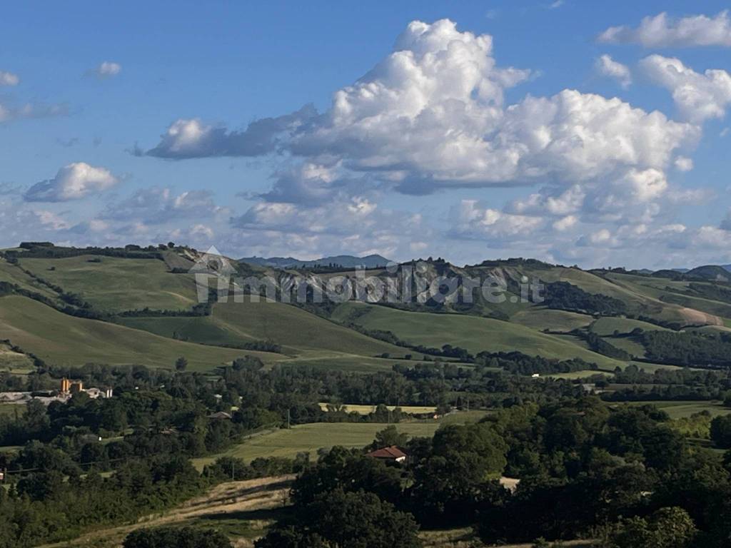 Vista