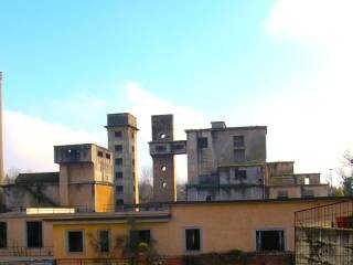 Vista