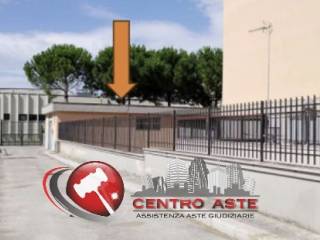 Zona