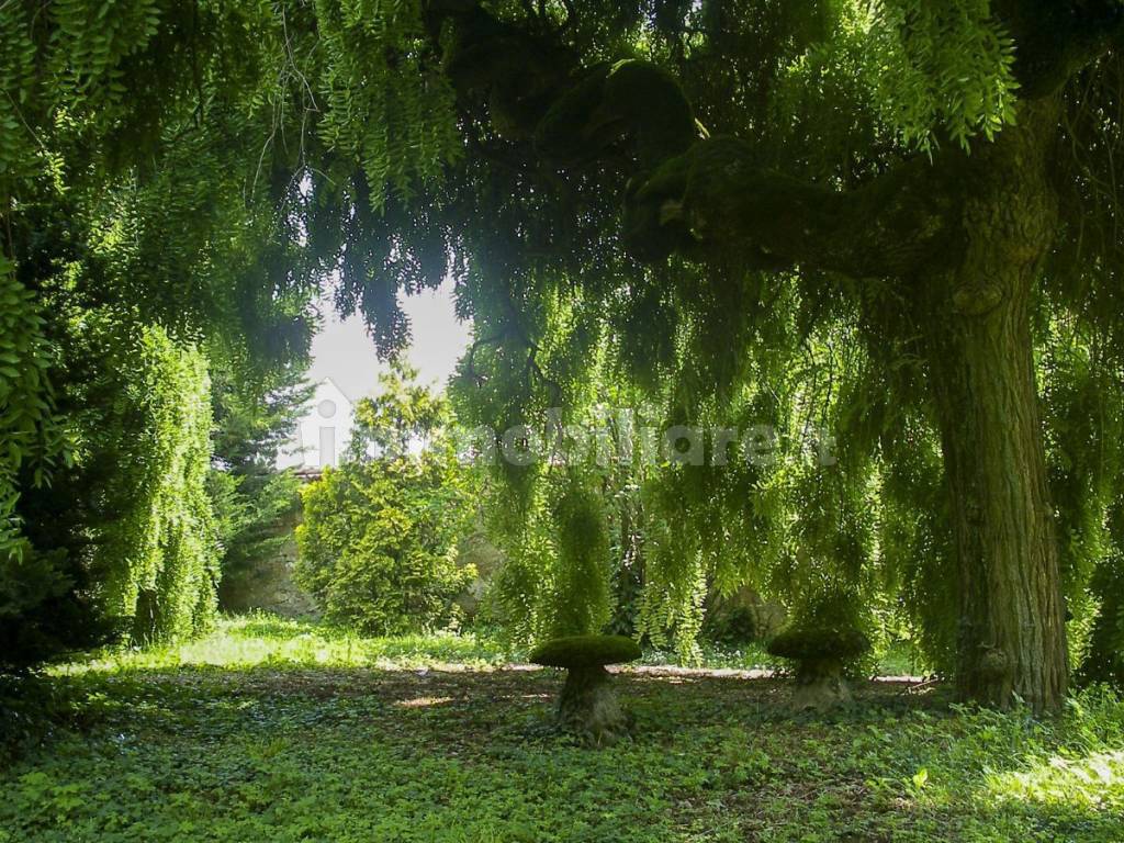 Giardino