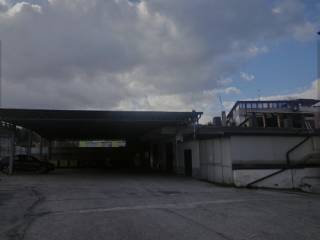 Zona