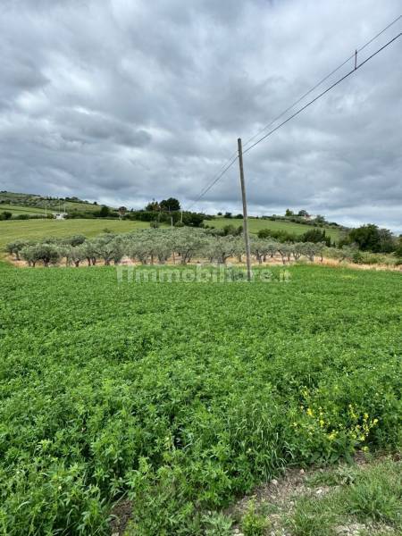 Terreno agricolo in vendita a Montenero di Bisaccia - anteprima 2