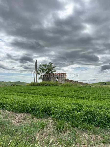 Terreno agricolo in vendita a Montenero di Bisaccia - anteprima 1