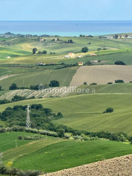 Terreno agricolo in vendita a Montenero di Bisaccia - anteprima 13