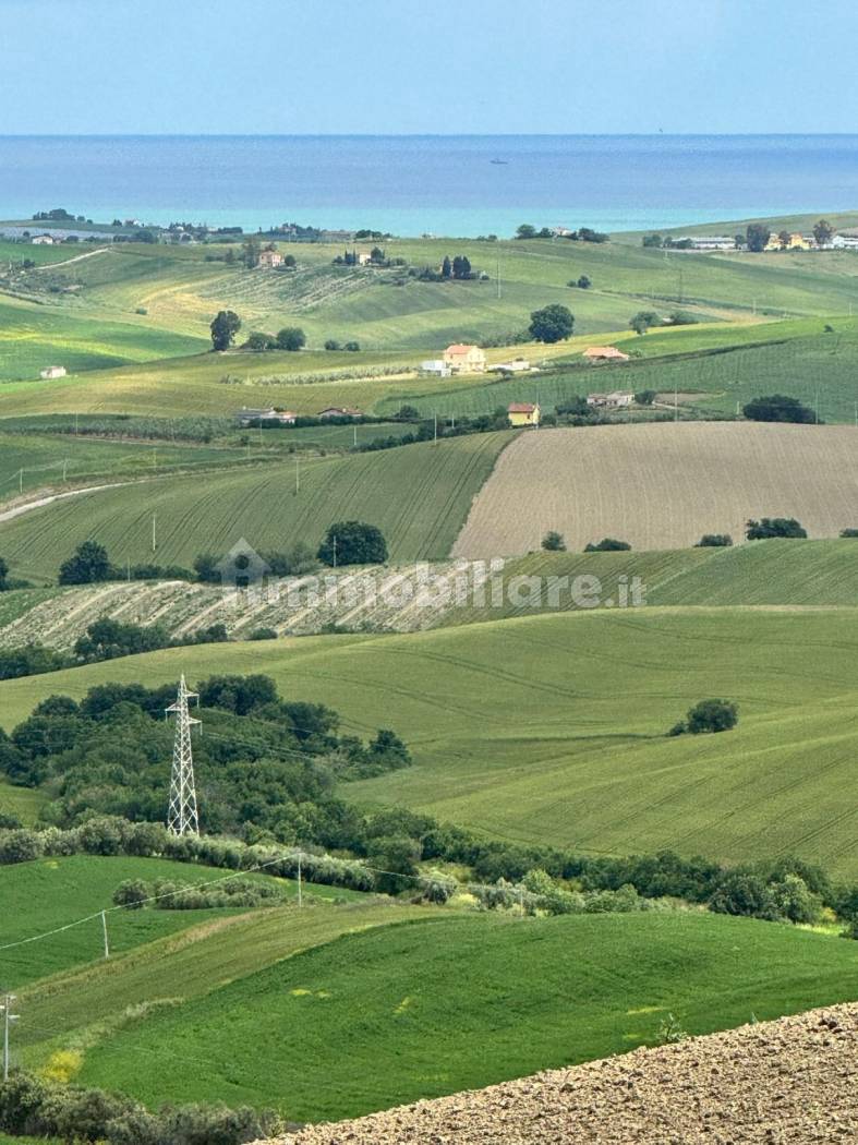 Terreno Agricolo 28.000 mq con 106 ulivi secolari - Montenero di Bisaccia - foto 13