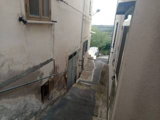 Zona