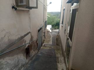 Zona