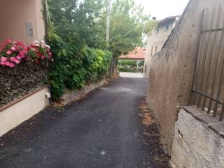 Zona