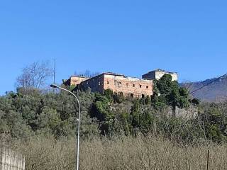 Vista