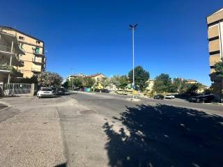 Zona