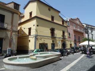 Zona