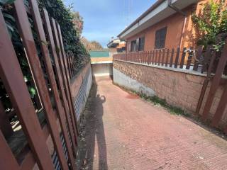 Zona