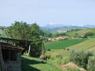 Vista