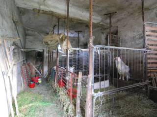 Magazzino