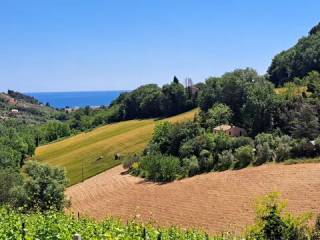 Vista