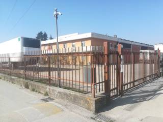 Zona