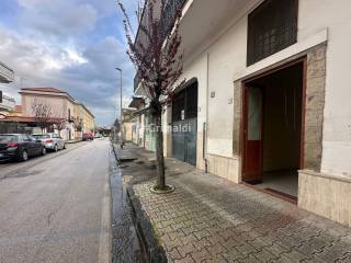 Zona