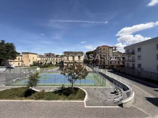 Vista