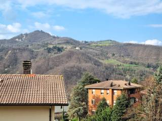 Vista