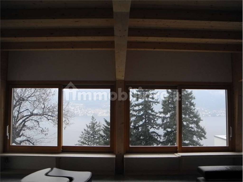 Vista