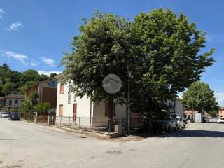 Zona