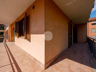 Terrazzo