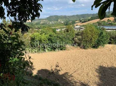 Terreno