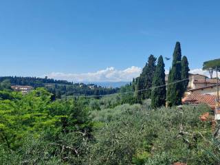 Vista