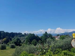 Vista