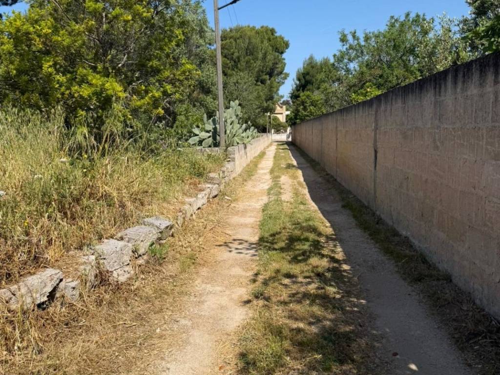 Terreno