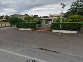 Zona