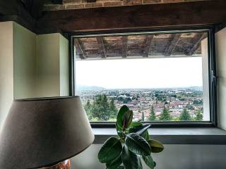 Vista