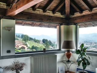 Vista