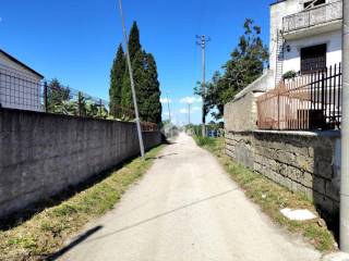 Zona